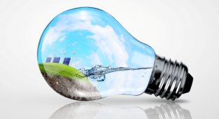 Dünyada yenilenebilir enerjiye yönelim artıyor!