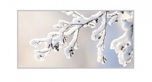 Karakış Fırtınası - Aksa Doğalgaz!