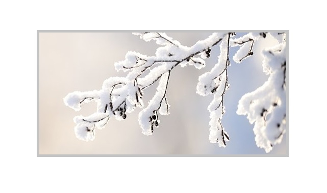 Karakış Fırtınası - Aksa Doğalgaz!