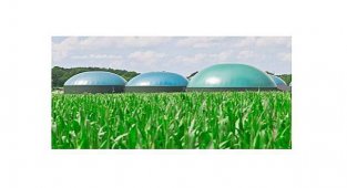 'Motorin türlerine biodizel harmanlanması' konulu tebliğ yayınlandı!