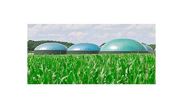 &#039;Motorin türlerine biodizel harmanlanması&#039; konulu tebliğ yayınlandı!