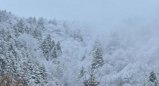 Uzungöl'de kış - Hafta sonu haberi!