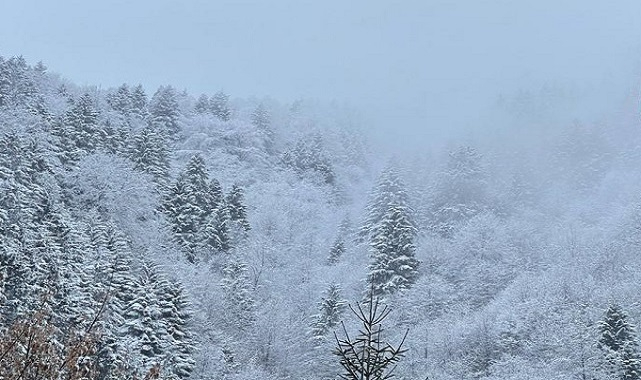 Uzungöl&#039;de kış - Hafta sonu haberi!