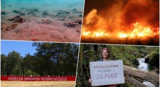 2021’in Büyük Çevre Olayları - TEMA Vakfı