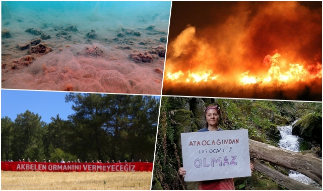 2021’in Büyük Çevre Olayları - TEMA Vakfı