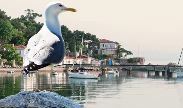 3. Marmara Denizi Sempozyumu 8-9 Ocak’ta!