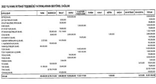 Enerji - Madencilikte var - 2022 Yılı Yatırım Programı Resmi Gazete'de yayınlandı!