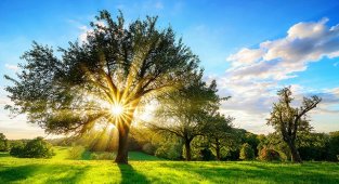 ENERJİ VERİMLİLİĞİ Haftası - ETKİNLİK!