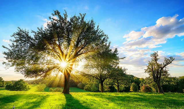 ENERJİ VERİMLİLİĞİ Haftası - ETKİNLİK!