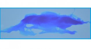 İklim değişikliğini - kuraklığı önlemeye dönük atacağımız her adım!