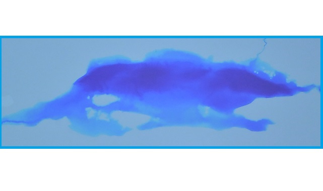 İklim değişikliğini - kuraklığı önlemeye dönük atacağımız her adım!