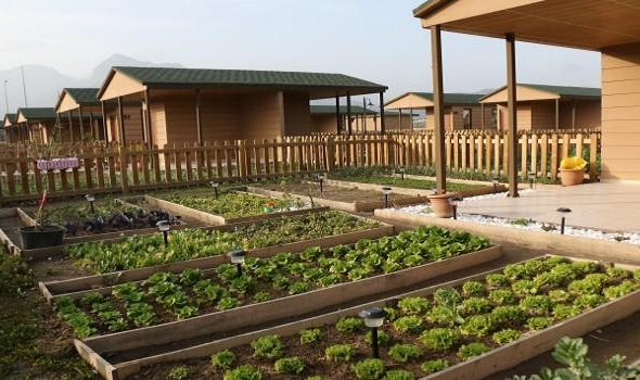 Kendi elektriğini üretiyor - Kendi kendine yeten evler!