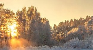 Ocak ayı DOĞA Takvimi - Aksa Doğalgaz!