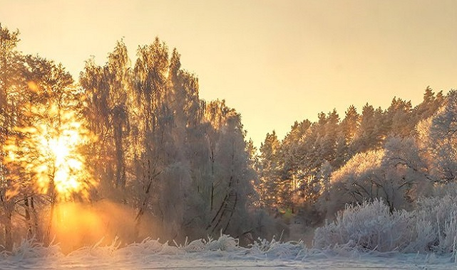 Ocak ayı DOĞA Takvimi - Aksa Doğalgaz!