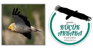 Vaillant - 'Küçük Akbabaları Koruma Projesi'