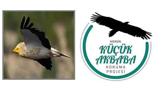 Vaillant - &#039;Küçük Akbabaları Koruma Projesi&#039;