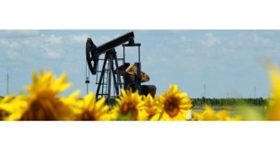 Biyokütle enerji - Biyokütle ne demek? Elektrik üreten kaç biyokütle santrali var?