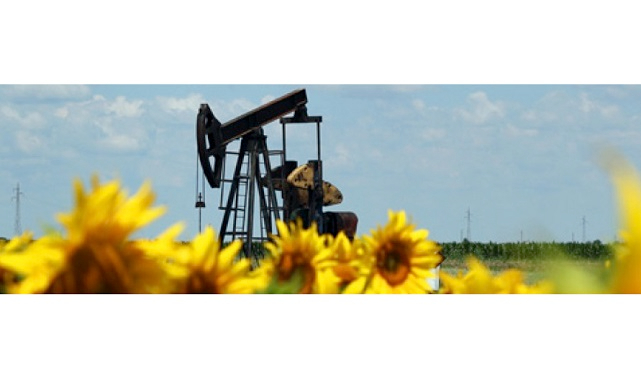 Biyokütle enerji - Biyokütle ne demek? Elektrik üreten kaç biyokütle santrali var?