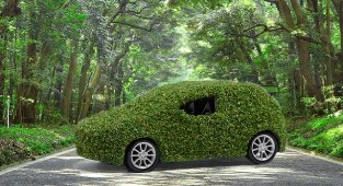 Daikin Türkiye - Her aracın salım yaptığı karbon miktarını bertaraf edecek şekilde fidan dikecek!