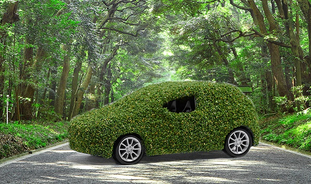 Daikin Türkiye - Her aracın salım yaptığı karbon miktarını bertaraf edecek şekilde fidan dikecek!