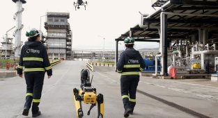 Refinery company Tüpraş started to use autonomous robots in field work!