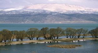 Sulak alanlar 'Yağmur ormanlarından sonra en üretken ekosistemler' - DOĞA Derneği!