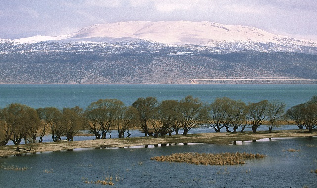 Sulak alanlar &#039;Yağmur ormanlarından sonra en üretken ekosistemler&#039; - DOĞA Derneği!