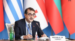 ‘TANAP'ı 31 milyar m3 maksimum kapasitede kullanmak için yatırım yapılmasına ilişkin girişimleri destekliyoruz’