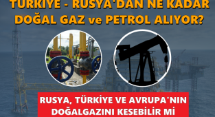 Türkiye Rusya'dan ne kadar doğalgaz ve petrol alıyor? Rusya ''Türkiye ve Avrupa'nın'' gazını kesebilir mi?