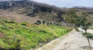 Biotrend Enerji - Giresun Tesisinin Yatırımlarına Hız Verdi!