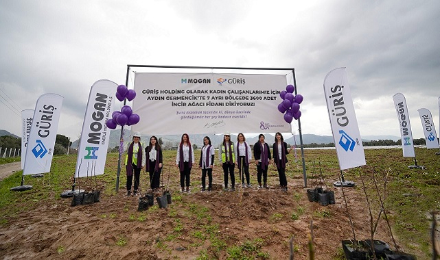 GÜRİŞ - 7 ayrı bölgeye toplam 3600 adet ’incir fidanı’ dikti!