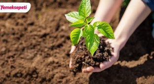 Karbon Ayak İzini Dengeledi - Yemeksepeti!