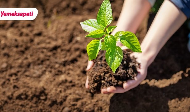 Karbon Ayak İzini Dengeledi - Yemeksepeti!