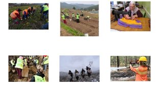 Orman Genel Müdürlüğü - Kadın üreticilere 8.5 milyon TL destek!