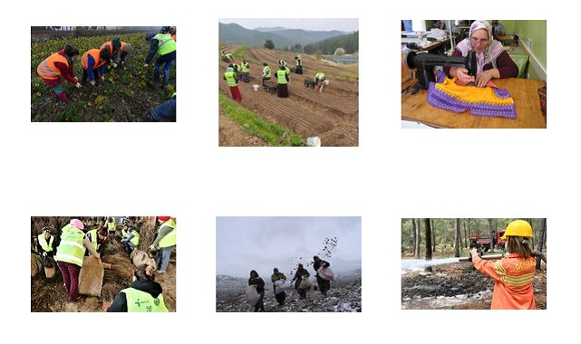 Orman Genel Müdürlüğü - Kadın üreticilere 8.5 milyon TL destek!