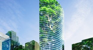 Schneider Electric - CNBC raporu: Şirketler 'dijital araçlar kullanarak emisyonlarını yüzde 19 azaltabilir