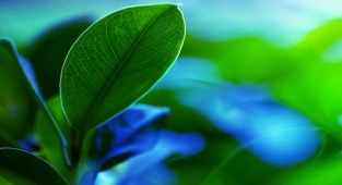 İş Bankası'ndan net-sıfır bankacılık taahhüdü - Paris İklim Anlaşması hedefleri için!