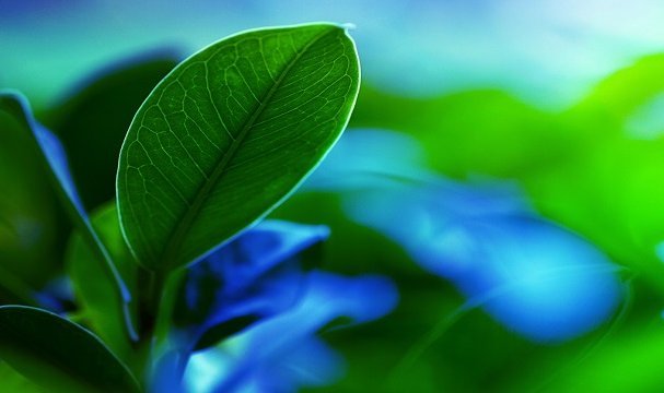 İş Bankası&#039;ndan net-sıfır bankacılık taahhüdü - Paris İklim Anlaşması hedefleri için!