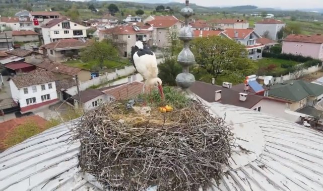 Leyleği Havada Görmek için El Ele Verdik - Limak Enerji Uludağ Elektrik!