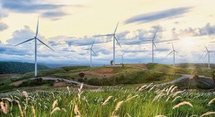 Üretimde Kullandığı ELEKTRİĞİN Yüzde 100'ünü Yenilenebilir Hale Dönüştürdü - HENKEL