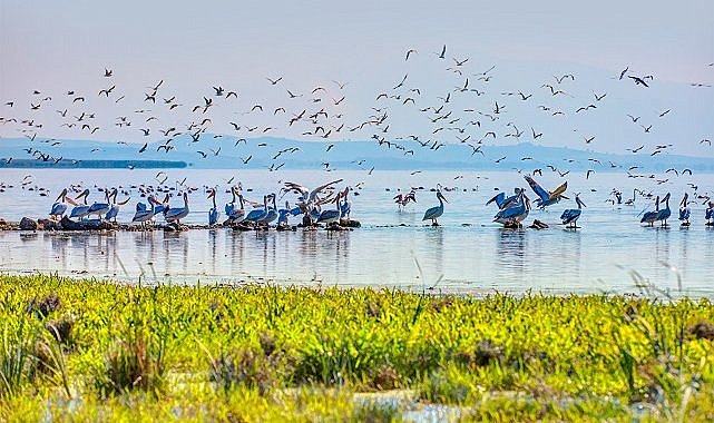 Gelecek nesiller için canlı çeşitliliği bize emanet