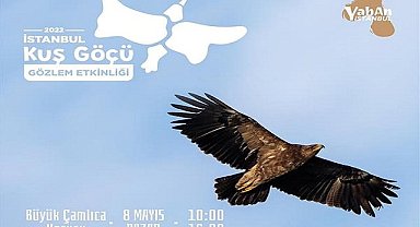 Kuş Göçü Gözlem Etkinliği - İSTANBUL!
