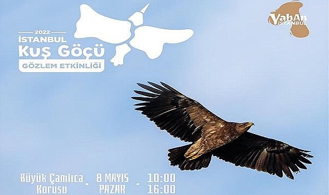 Kuş Göçü Gözlem Etkinliği - İSTANBUL!
