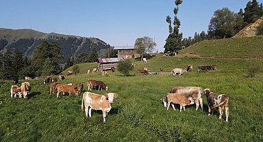 TEMA Vakfı - Doğal Varlıkların Korunması için Madenciliğe Kapalı Alanların Kanunlarla Belirlenmesini Önerdi!