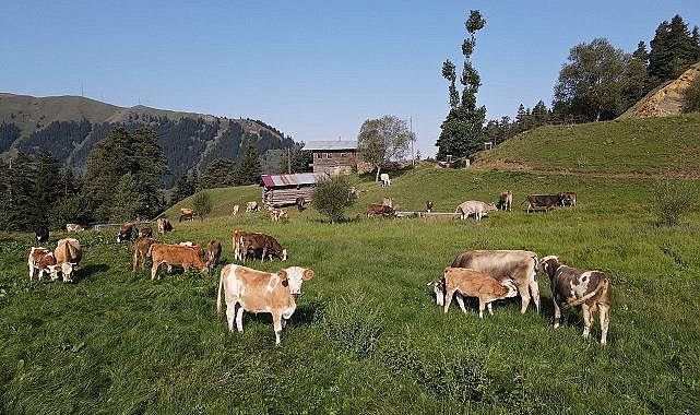 TEMA Vakfı - Doğal Varlıkların Korunması için Madenciliğe Kapalı Alanların Kanunlarla Belirlenmesini Önerdi!