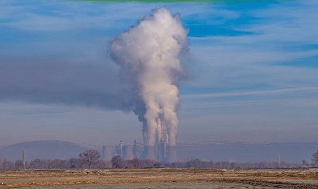 TEMA Vakfı - Termik Satrali iptal’