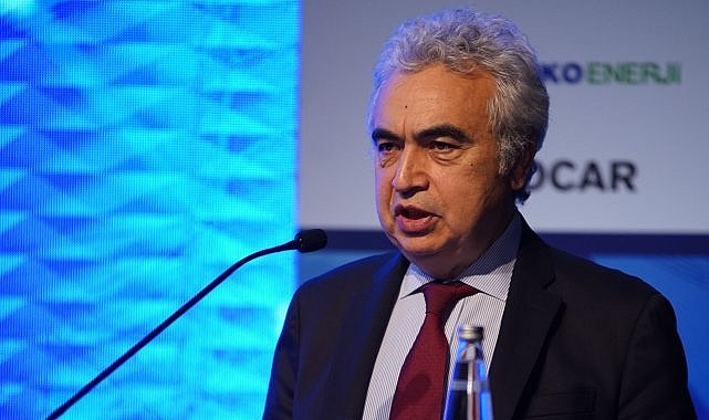 We &#039;recommended Belgium, Germany and Japan to put nuclear back on the agenda&#039; - IEA