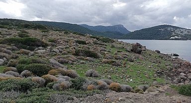 Cengiz İnşaat açıklama yaptı - 'ORMANLIK olarak görünen Cennet Koyu fotoğrafı...'