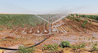 Dicle Elektrik - ‘Şanlıurfa’da tarımsal sulamada kaçak elektrik tüketimi…’