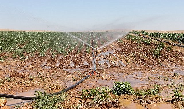 Dicle Elektrik - ‘Şanlıurfa’da tarımsal sulamada kaçak elektrik tüketimi…’